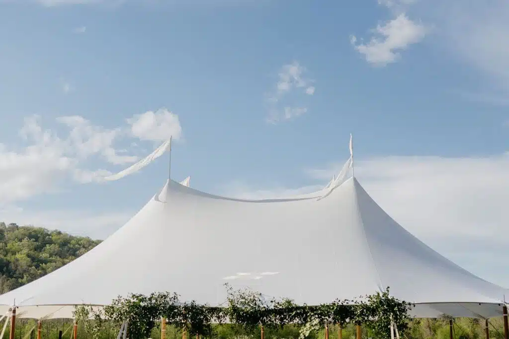 Caroline and Kirk Wedding 2