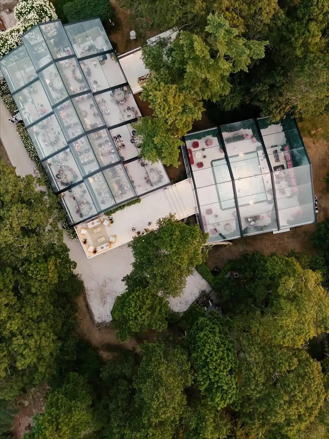 Aerial view of connected clear-top wedding tents set among trees