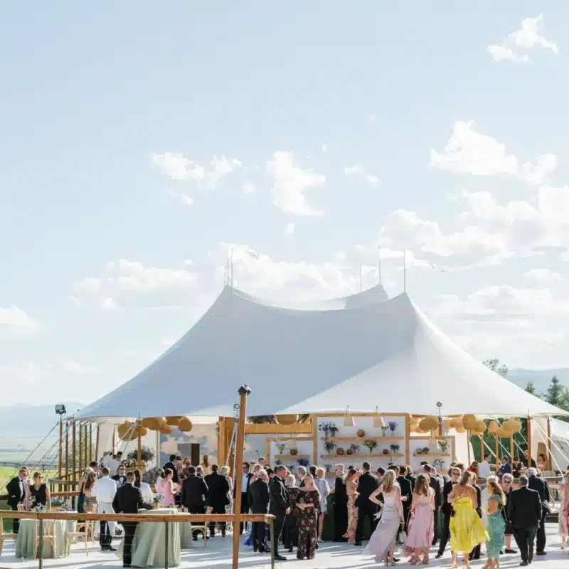 Large backyard party tent with guests dancing and mingling, illustrating how tent size accommodates crowd movement and activities.